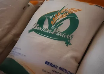 Penyaluran Bansos Beras 10 Kg Diperpanjang Hingga Desember 2024: Ini Aturan Barunya