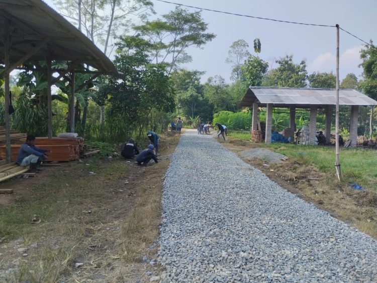 Pekon Sidodadi Dorong Peningkatan Infrastruktur dan Pemberdayaan Lewat Dana Desa