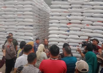 Pj Gubernur Lampung, DR. Samsudin, Tinjau Ketahanan Pangan, di Lampung Timur