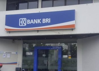 Langsung Survei! Tingginya Peminat KUR BRI Plafon 50 Juta: Skema Angsuran dan Cara Ajukan Online