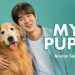 Tonton Film Korea ‘My Puppy’ di Vidio: Kisah Mengharukan tentang Anjing yang Mencari Rumah Baru