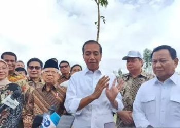Hari Ini, Jokowi Mulai Sidang Kabinet Perdana di IKN