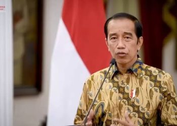 Stafsus Presiden Bantah Isu Jokowi Ingin Ambil Alih Posisi Ketum PDIP