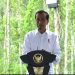 Jokowi Mulai Berkantor di Ibu Kota Nusantara