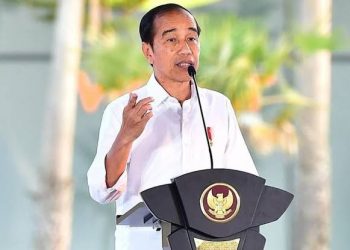 Soal Jokowi Jadi Ketua Wantimpres, Dasco: Belum Ada Keputusan Final