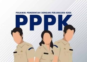 PERHATIAN! PPPK Wajib Verifikasi Data yang Diunggah ke BKN agar Tidak Gagal Seleksi