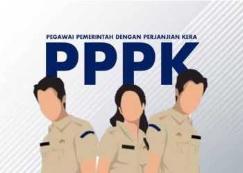 RESMI: Ketentuan BKN bagi Peserta yang Gagal CPNS 2024, Apakah Bisa Daftar PPPK?