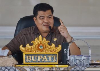 Pilkada Lamteng: Ardito Komang Menang Telak, Musa Ahmad Gagal Meski Didukung KIM Plus