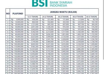 Bebas Bunga dan Agunan, Ini Detail KUR BSI Plafon Rp50 Juta
