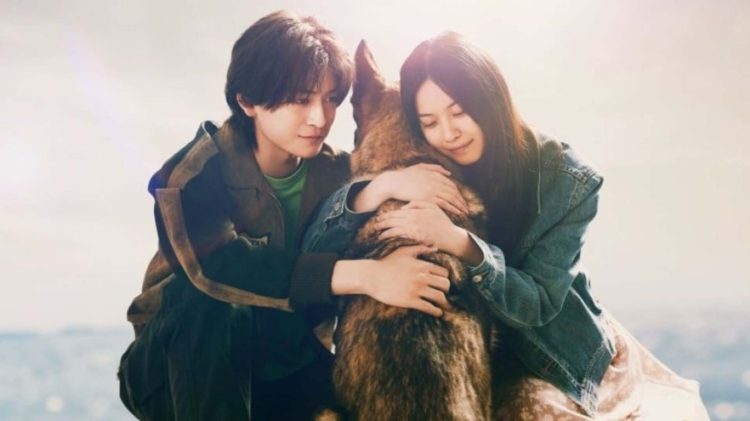 Sinopsis Film Jepang “The Boy and the Dog”: Kisah Haru tentang Kehidupan dan Persahabatan Pasca Bencana