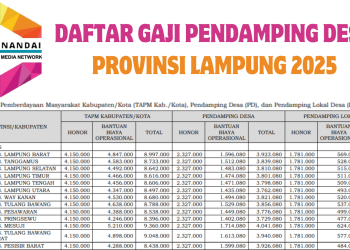 Kriteria dan Klasifikasi Gaji Pendamping Desa 2025: Peluang Menarik untuk Berkontribusi pada Pembangunan Desa