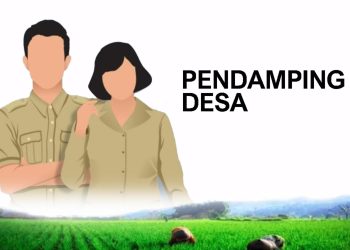 Cara Daftar Pendamping Desa 2025 Langkah-Langkah Pendaftaran, yang Harus Anda Ikuti