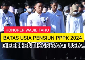Fakta Menarik: Honorer Diangkat PPPK, Apakah Dapat Pensiun? Begini Penjelasannya