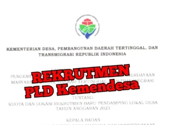 Tahapan Cara Daftar Pendamping Desa: Ketentuan dan Dokumen yang Dibutuhkan