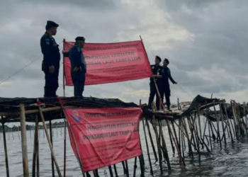 Soal Pagar Laut di Tangerang, Pemerintah Dinilai Tak Berani Lawan Cukong