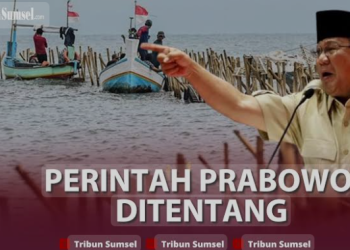 Menteri KKP Bertentangan dengan Instruksi Prabowo Soal Pembongkaran Pagar Laut
