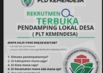 Pendaftaran Pendamping Desa 2025: Apakah Sudah Dibuka? Ini Penjelasan Kemendes PDTT