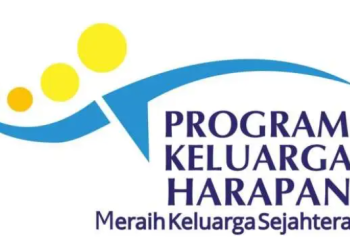 Masih Jadi Pendamping PKH, Bisa Daftar Pendamping Desa 2025? Cek Syaratnya!