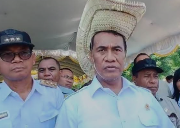 Mentan Siapkan Sanksi untuk Perusahaan di Lampung yang Masih Impor Tapioka