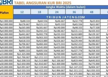 BRI Siapkan KUR Pre-Graduasi Mulai 2025, Ini Kriterianya