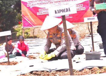 Kapolda Lampung dan Bhayangkari Luncurkan Program Pekarangan Pangan Lestari di SPN Polda Lampung