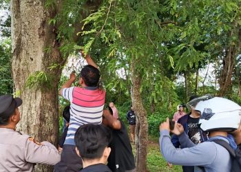 Pemuda di Pringsewu Ditemukan Gantung Diri di Pohon Asam, Warga Geger