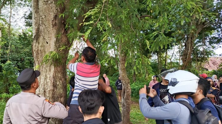 Pemuda di Pringsewu Ditemukan Gantung Diri di Pohon Asam, Warga Geger