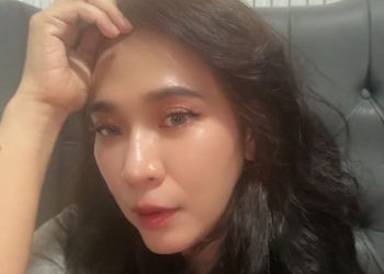 Audit Anggaran Desa Palas, Pengamat Hukum Desak Transparansi