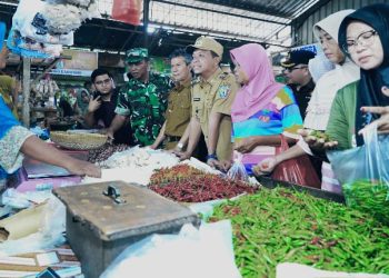 Bupati Pringsewu Tinjau Pasar Gading, Pastikan Stok Bahan Pokok Stabil Jelang Lebaran