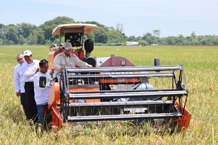 Prabowo Rencanakan Pembangunan 80.000 Koperasi Desa dengan Fasilitas Cold Storage untuk Pangan