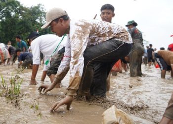 Meriahkan HUT ke-16 Kabupaten Pringsewu, Ratusan Peserta Turun ke Sawah untuk Lomba Tangkap Ikan Lele