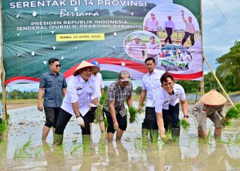 Bupati Egi Turun Sawah, Lampung Selatan Ambil Bagian dalam Gerakan Tanam Padi Nasional