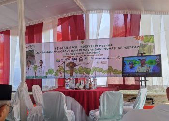 Gubernur Lampung Tanam 2.000 Mangrove, HNSI dan Praktisi Pendidikan Apresiasi Aksi Lingkungan