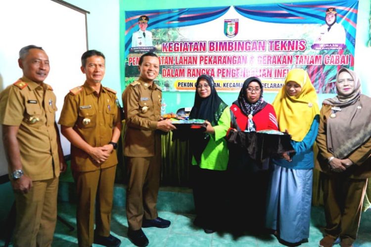 Bupati Pringsewu Canangkan Gerakan Tanam Cabai Serentak untuk Jaga Stok Pangan dan Kendalikan Inflasi