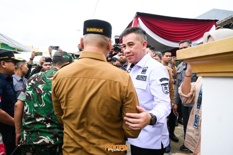 Pastikan PSU Berjalan Lancar, Gubernur dan Wakil Gubernur Lampung Tinjau TPS di Pesawaran Didampingi Bupati Dendi