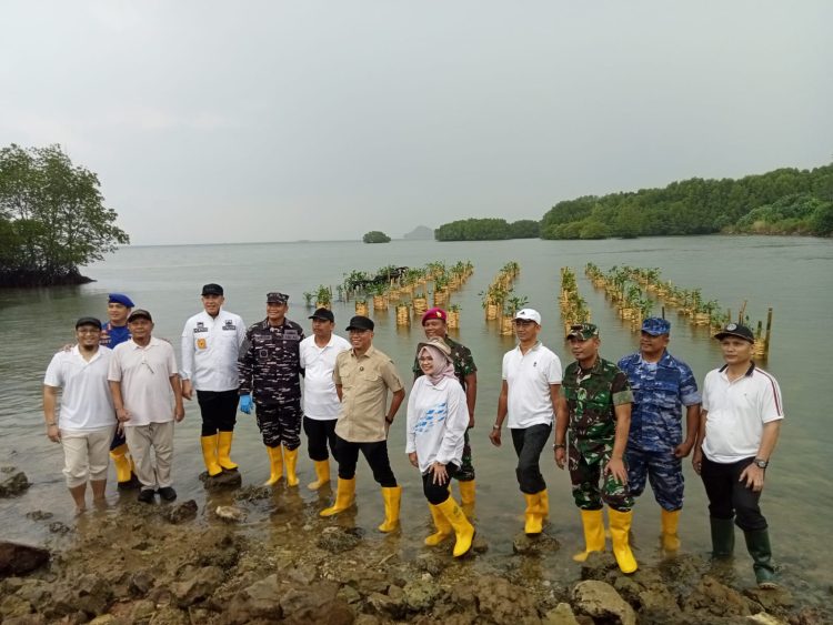 Lawan Abrasi, Gubernur Lampung Tanam 3.000 Mangrove di Pesawaran: Kolaborasi Hijau dari Pemerintah & Swasta