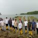 Lawan Abrasi, Gubernur Lampung Tanam 3.000 Mangrove di Pesawaran: Kolaborasi Hijau dari Pemerintah & Swasta