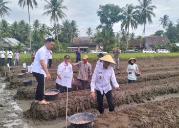 Tanggamus Luncurkan Program Gertak Mata Babe, Dorong Kedaulatan Pangan dan Tekan Inflasi