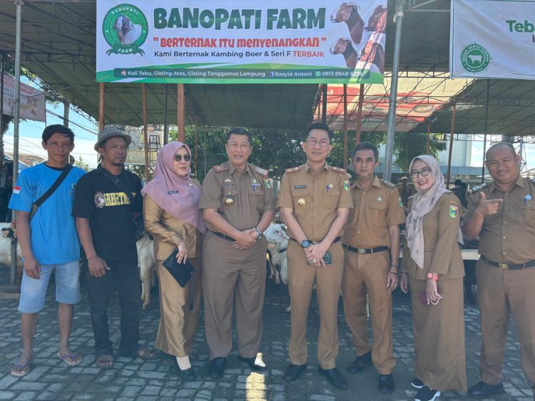 Bazar Hewan Qurban 2025 Resmi Dibuka di Tanggamus, Tawarkan 300 Kambing Mulai Rp2 Juta