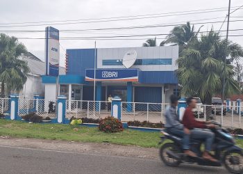 Pimpinan Cabang BRI Pringsewu Investigasi Dokumen di Unit Wonosobo Terkait Somasi Sertifikat Nasabah