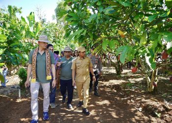 Program Cocoa Life Hadir di Pringsewu, Launching Kebun Percontohan CASDI Dorong Pertanian Kakao Berkelanjutan
