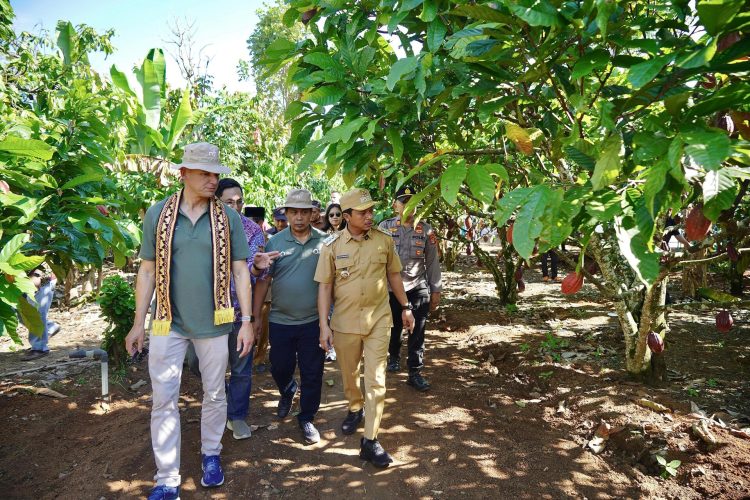 Program Cocoa Life Hadir di Pringsewu, Launching Kebun Percontohan CASDI Dorong Pertanian Kakao Berkelanjutan