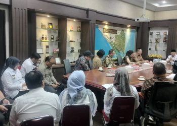 Investor Tiongkok Tawarkan Kerja Sama Energi, Pangan, dan Pelabuhan ke Lampung