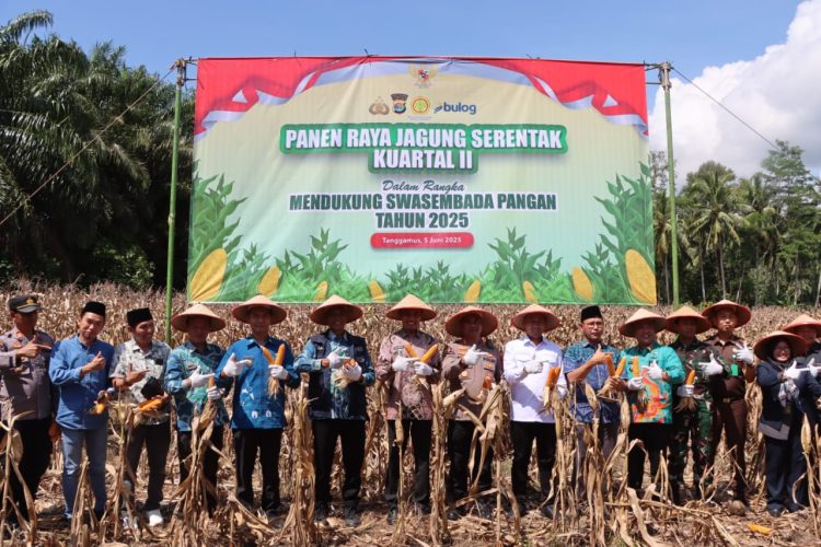 Panen Raya Jagung dan Groundbreaking Gudang, Tanggamus Perkuat Komitmen Swasembada Pangan