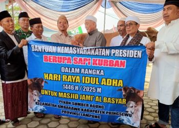 Bupati Pringsewu Pimpin Salat Idul Adha dan Langsung Sembelih Hewan Kurban Presiden