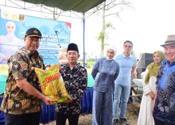 Putri Zulkifli Hasan Serahkan 198 Ton Bibit Padi untuk Petani Tanggamus: Upaya Nyata Wujudkan Ketahanan Pangan