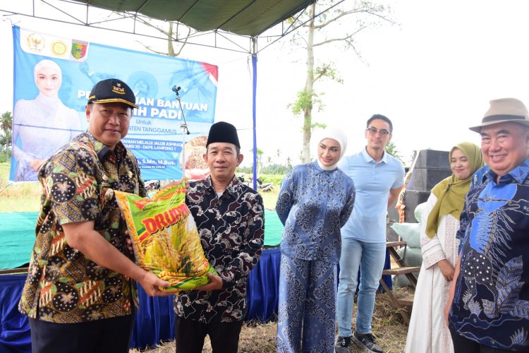 Putri Zulkifli Hasan Serahkan 198 Ton Bibit Padi untuk Petani Tanggamus: Upaya Nyata Wujudkan Ketahanan Pangan
