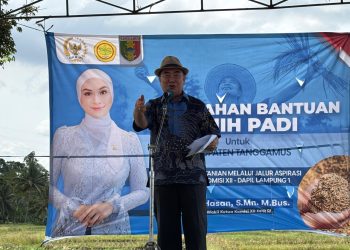 Dukung Ketahanan Pangan, Putri Zulkifli Hasan Salurkan 198 Ton Benih Padi untuk Petani Tanggamus