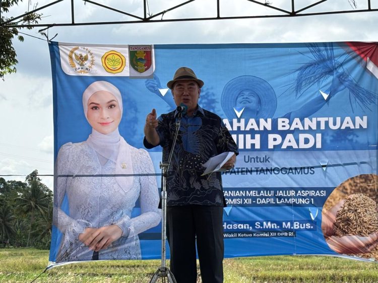 Dukung Ketahanan Pangan, Putri Zulkifli Hasan Salurkan 198 Ton Benih Padi untuk Petani Tanggamus