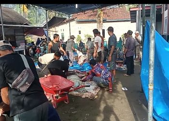 46 Hewan Kurban Disembelih di Pekon Srikuncoro, 650 KK Terima Daging Idul Adha